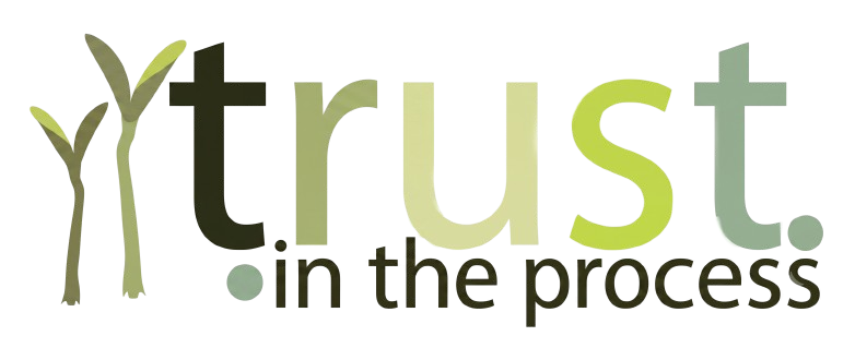 Trust in the Process Digestive Centre Logo